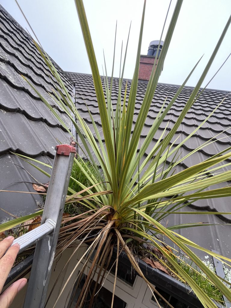 Commercial Gutter Cleaning